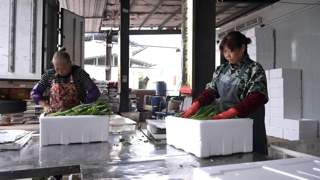 䡰˵ء18Ķﶬ߲ϲգũĶ2000+