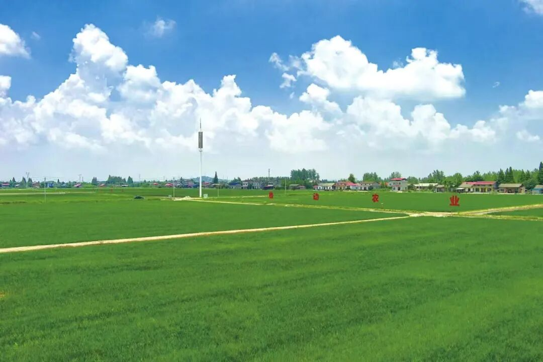 ͥҰᡱ Ϻˡũҵũдȫƪ