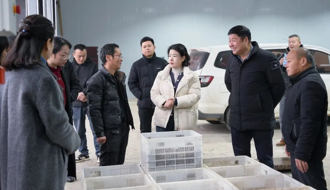 �ӽ���ר�����С��Ϻ��ҵ�������