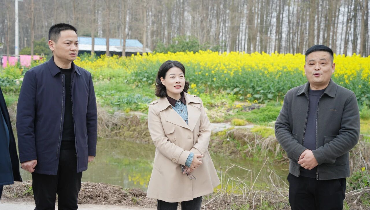 �ӽ������������Ұ�����ﱣ����������չ��һ����Ѳ�ӡ�Ѳ�֡�Ѳ��