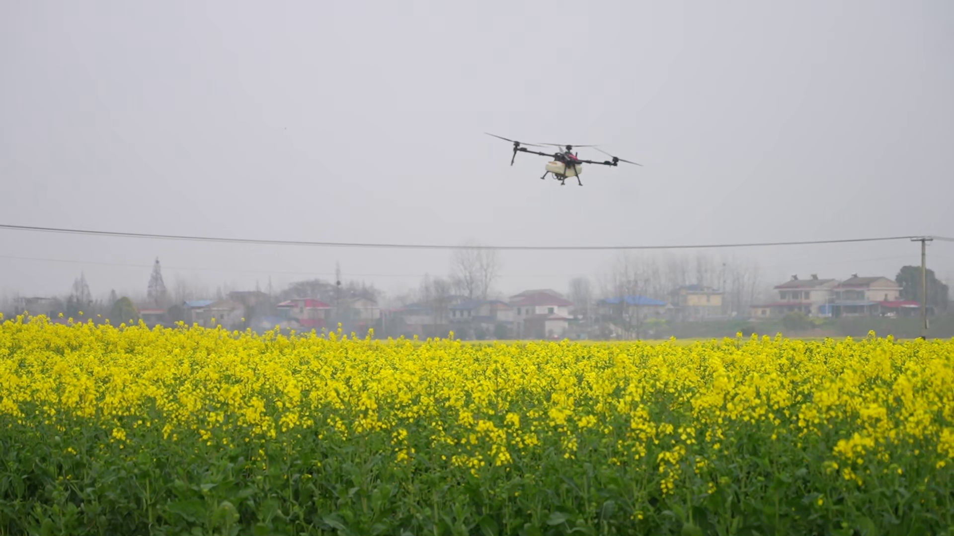 ���أ����˻����ɷ�����ҵ   Ϊ55.11��Ķ�Ͳ˱��ݻ���