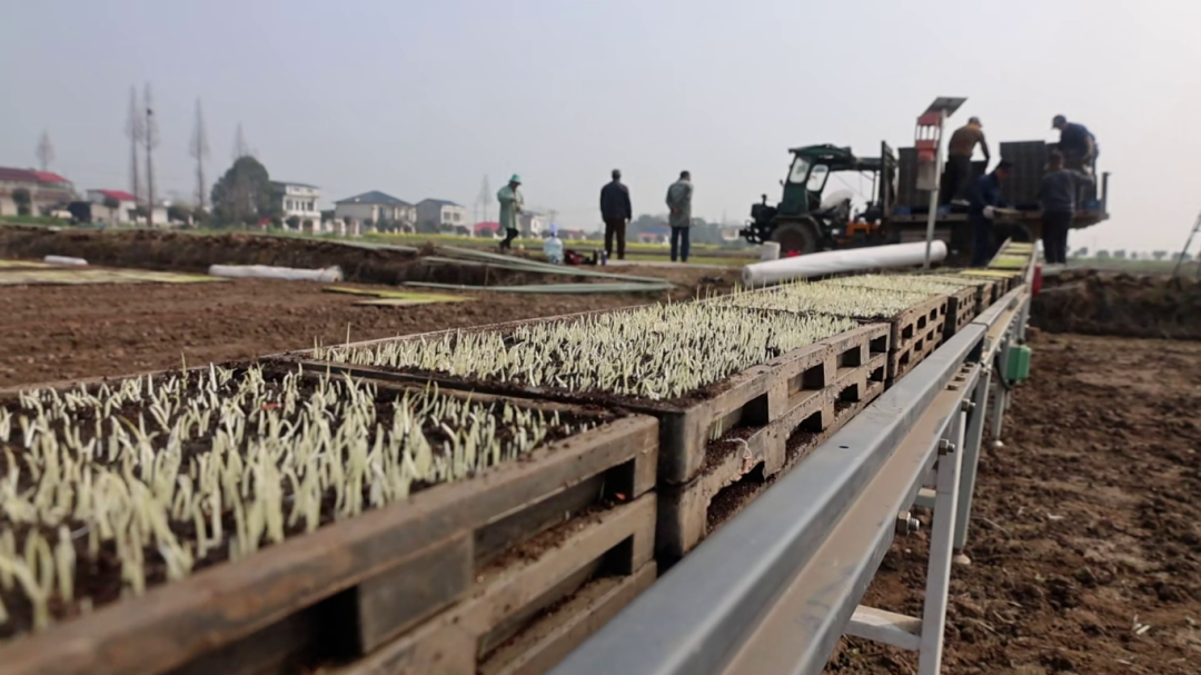 �����̰��ϴ��� ��е����������