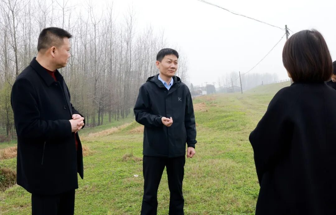 ��С�Ƕ�������������㵳����������չ��һ����Ѳ�ӡ�Ѳ�֡�Ѳ��