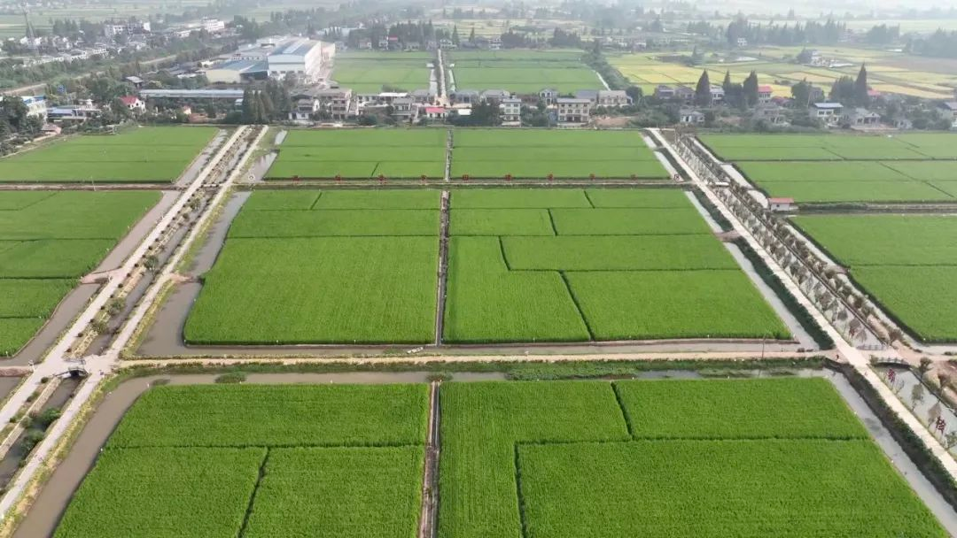 �ӡ������ӵء���������������   ���ظ߱�׼ũ�ｨ���ܳ������ٶȡ�