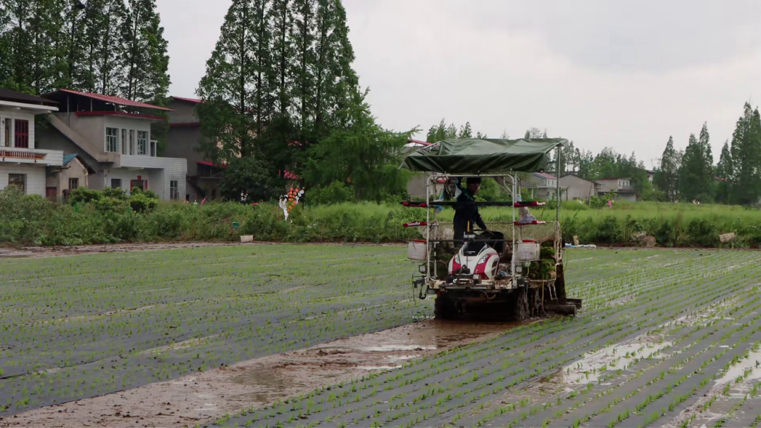 �絾��Ĥ�¼��� ����ũҵ��ֲ��������·