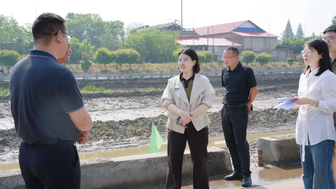 �ӽ�������һ�߶����ص���Ŀ����