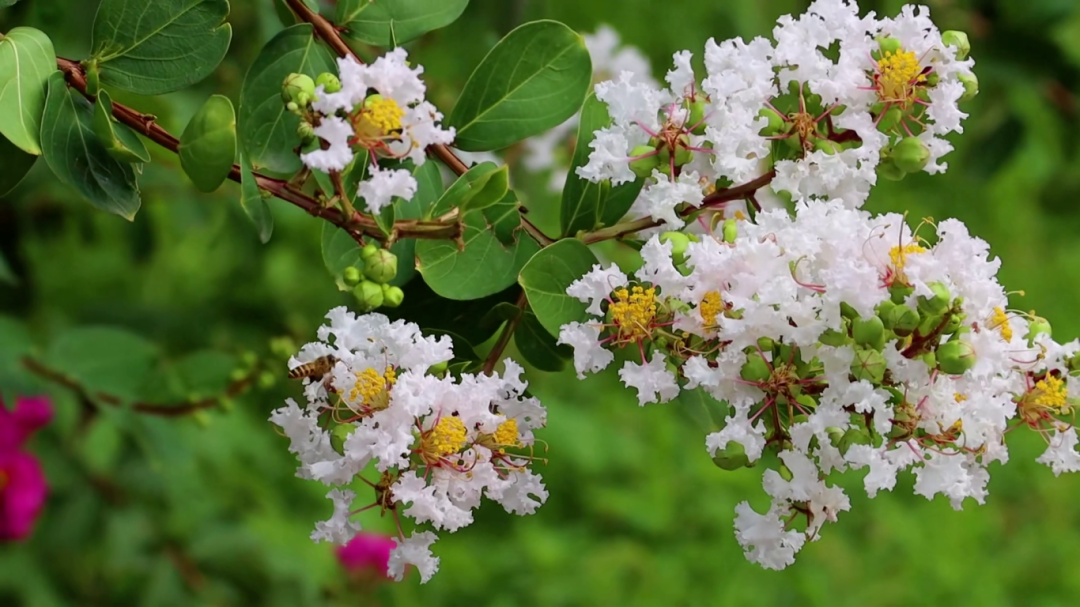 ​�������պ� ��ޱ׺��� ���޴�����̬�˾��»���