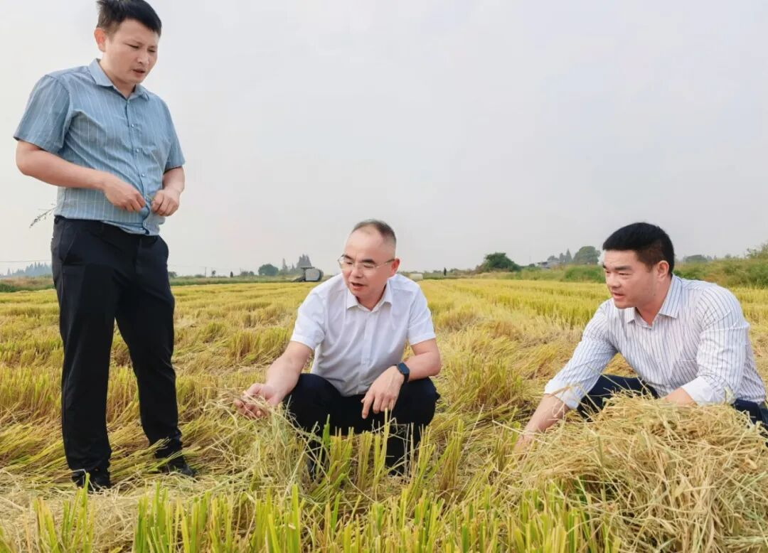 ����������������нո��ۺ����ù���